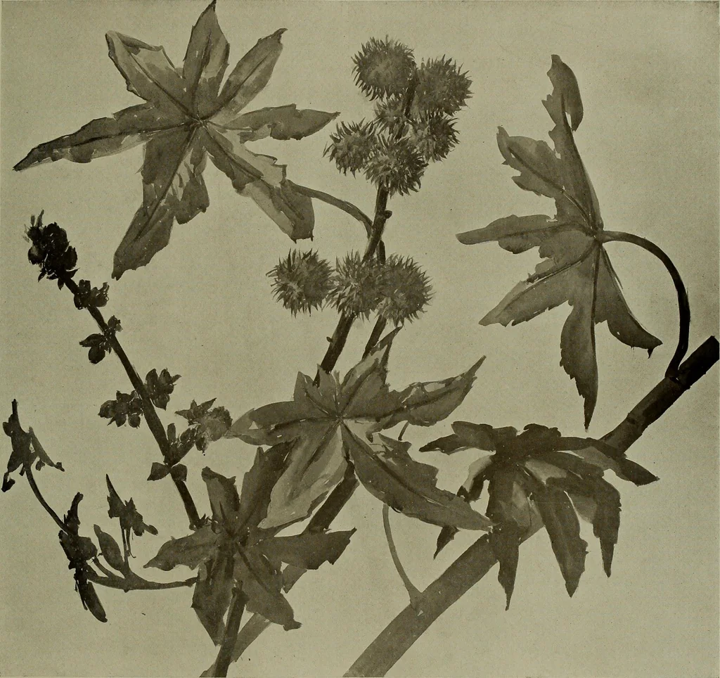 An illustration from Keramic studio, 1899, leaf 66