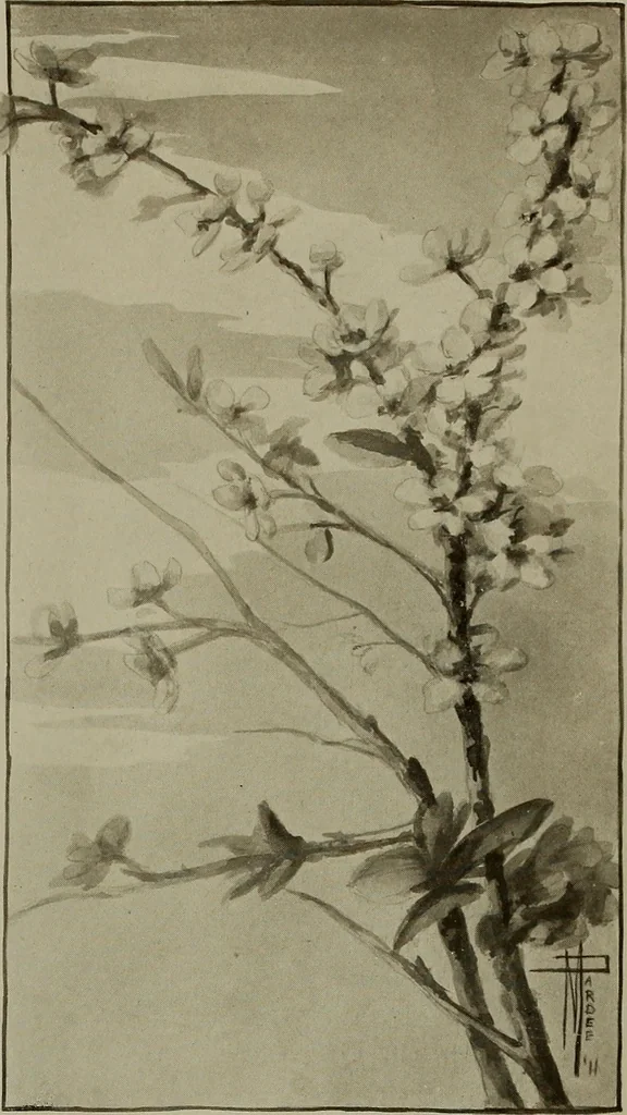 An illustration from Keramic studio, 1899, leaf 79