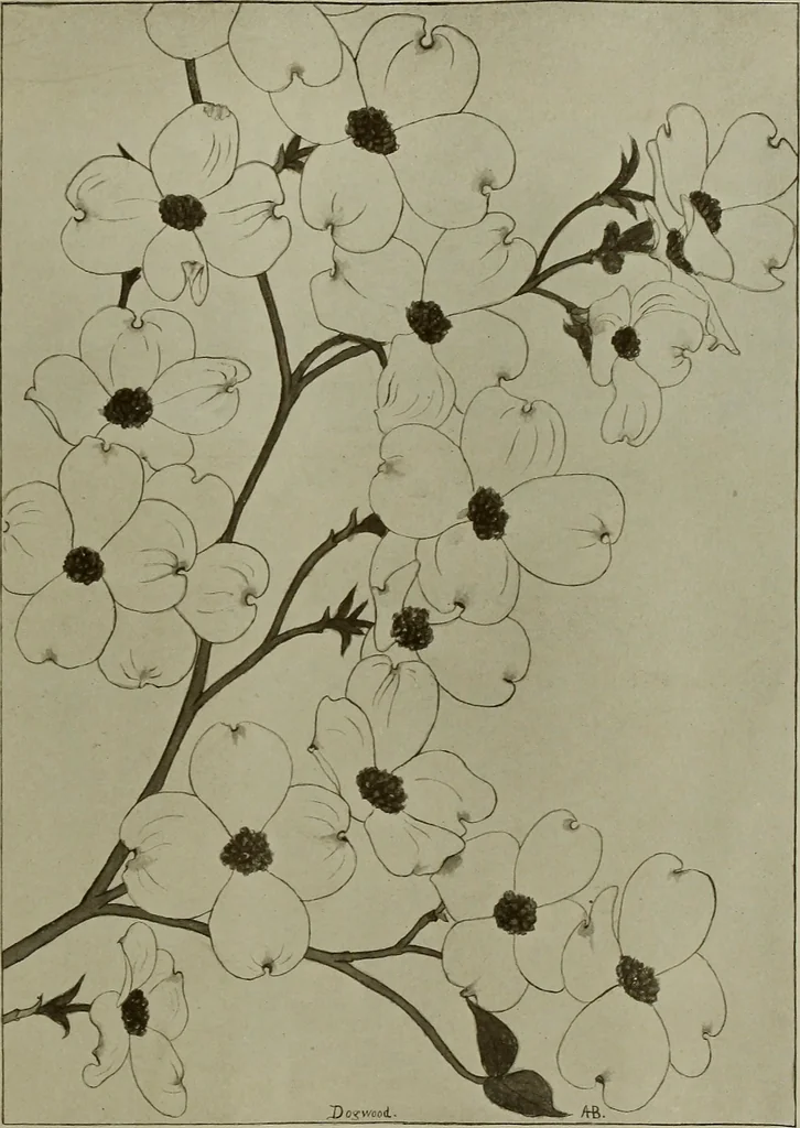 An illustration from Keramic studio, 1899, leaf 86