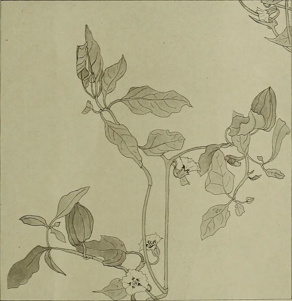 An illustration from Keramic studio, 1899, leaf 92