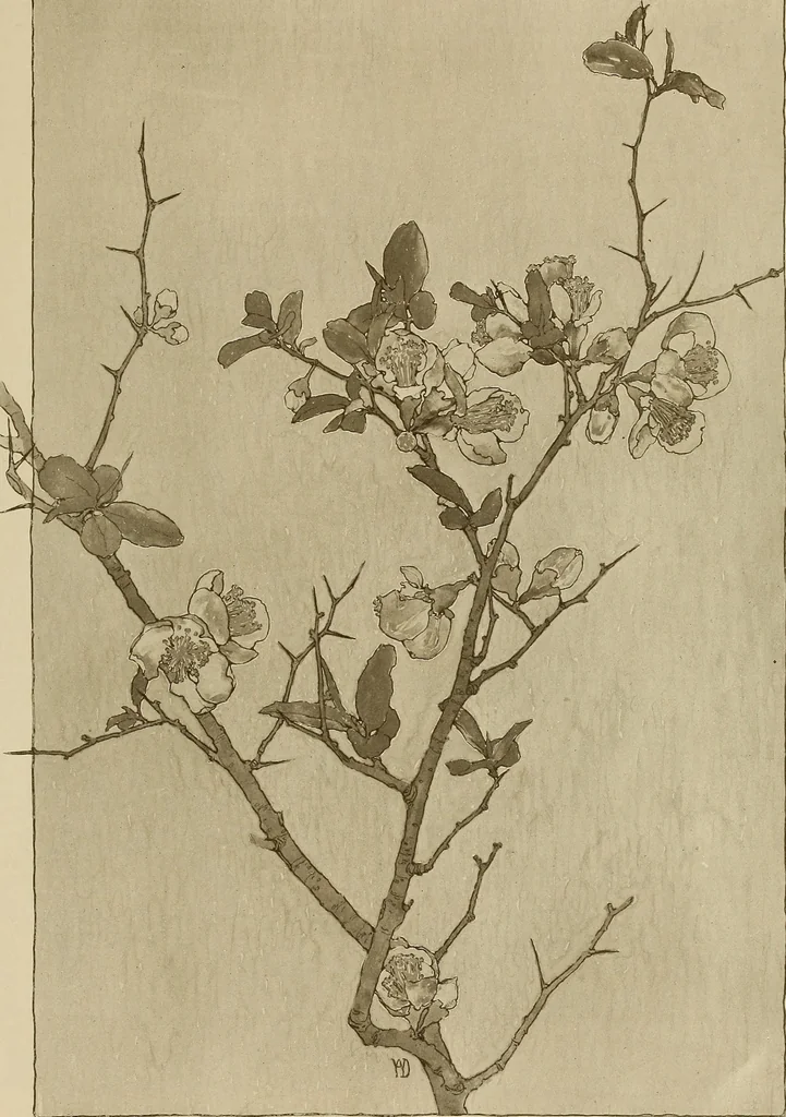 An illustration from Keramic studio, 1899, leaf 108