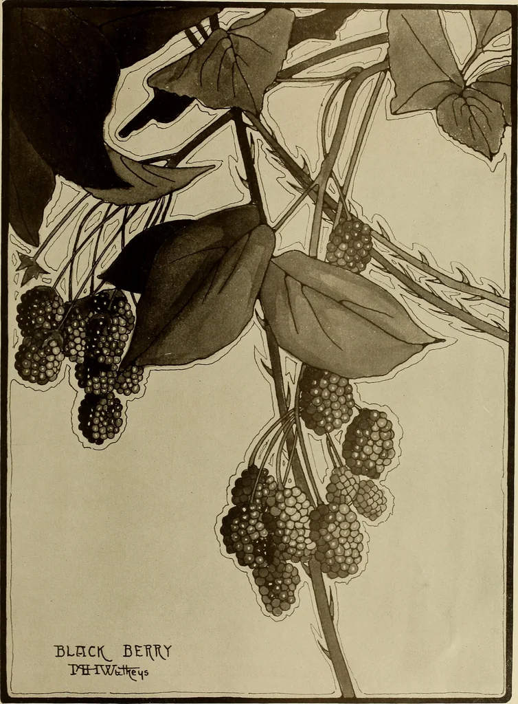 An illustration from Keramic studio, 1899, leaf 116