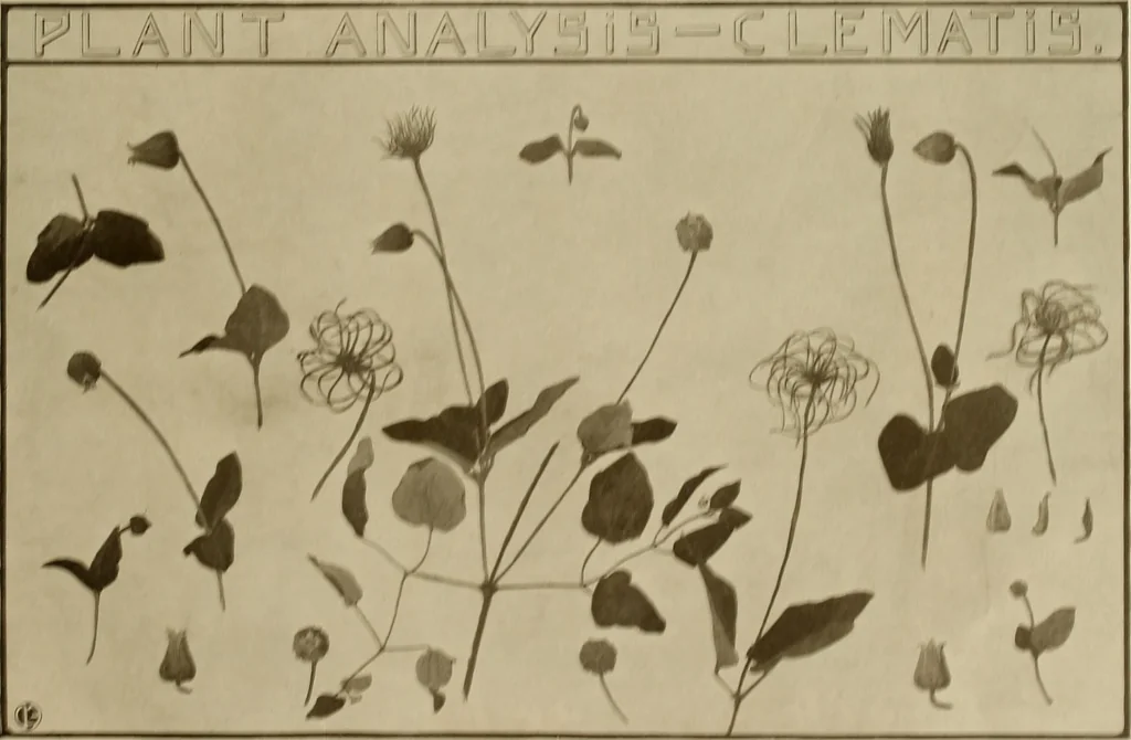 An illustration from Keramic studio, 1899, leaf 118