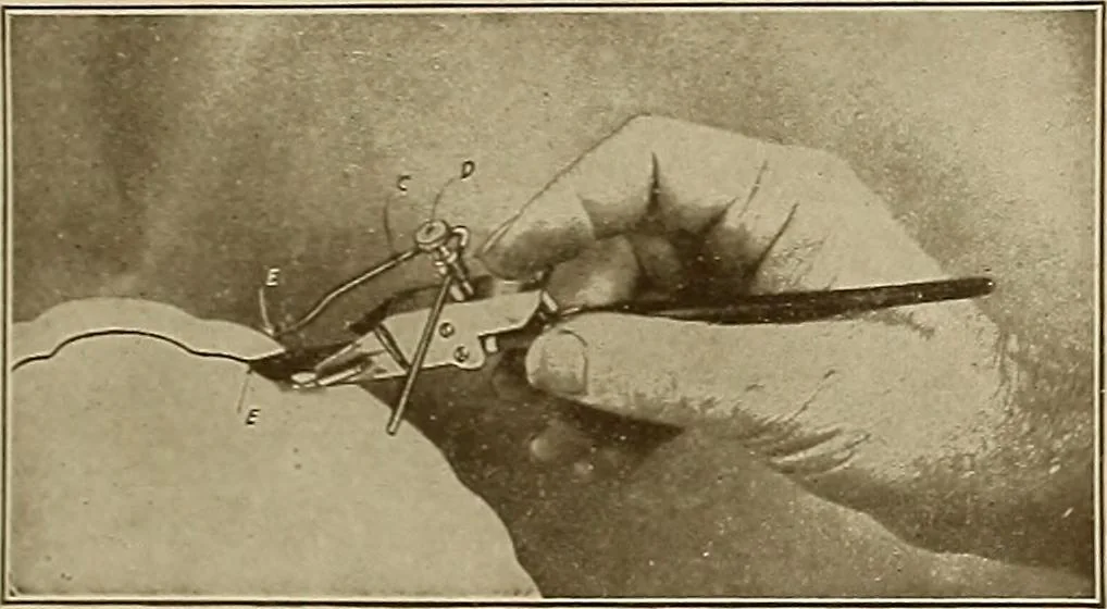 An illustration from Keramic studio, 1899, leaf 12