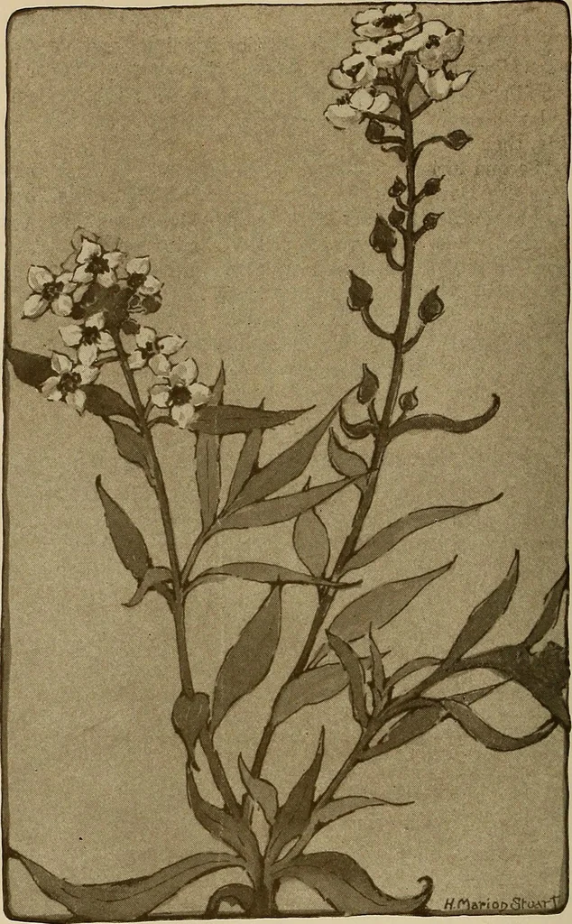 An illustration from Keramic studio, 1899, leaf 131