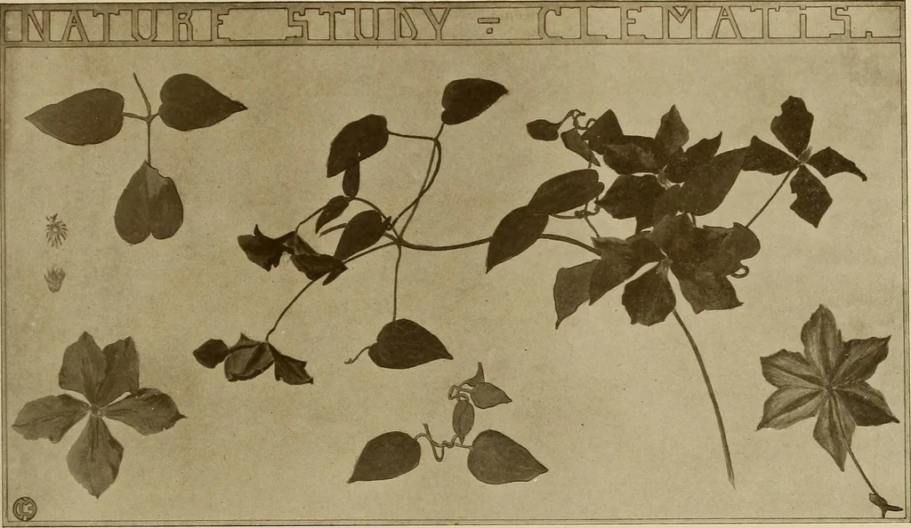 An illustration from Keramic studio, 1899, leaf 156