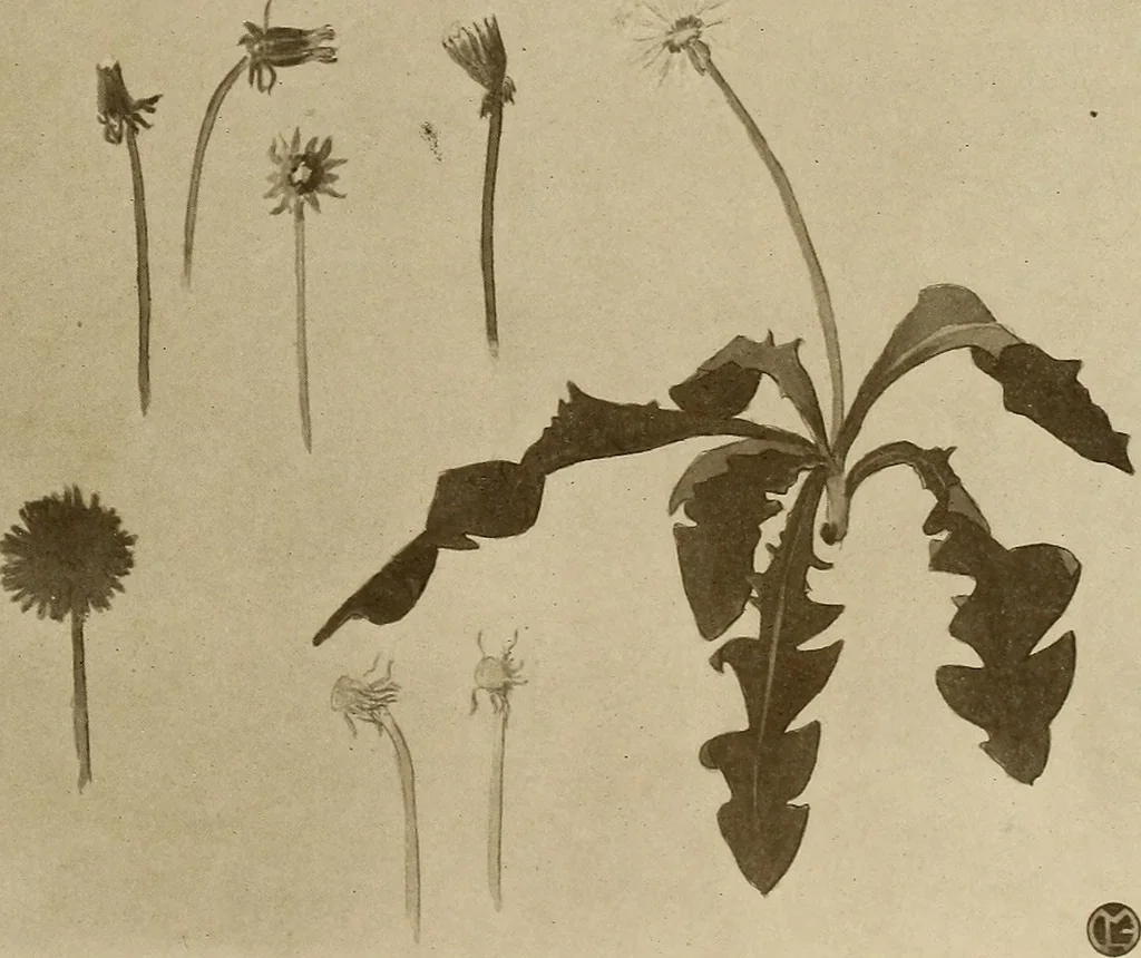 An illustration from Keramic studio, 1899, leaf 156