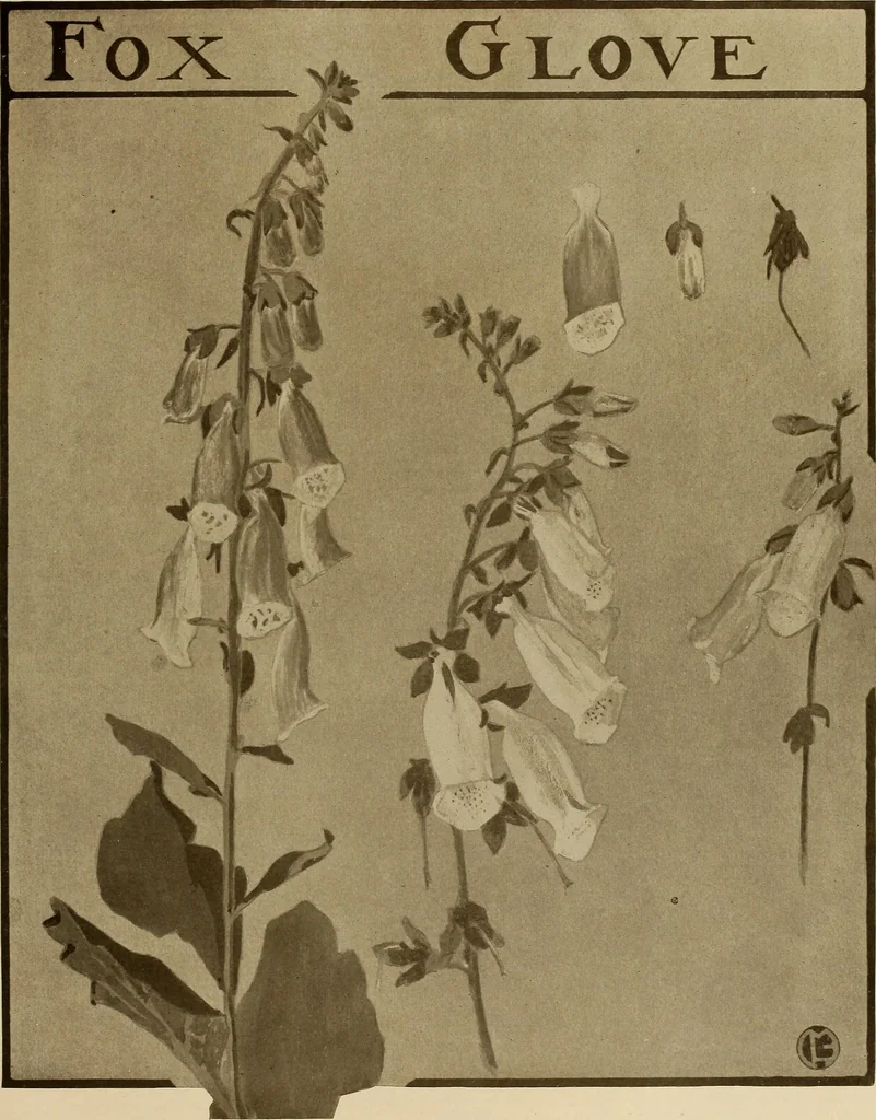 An illustration from Keramic studio, 1899, leaf 190