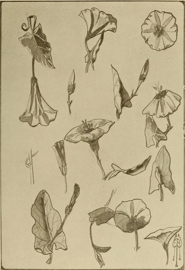 An illustration from Keramic studio, 1899, leaf 220