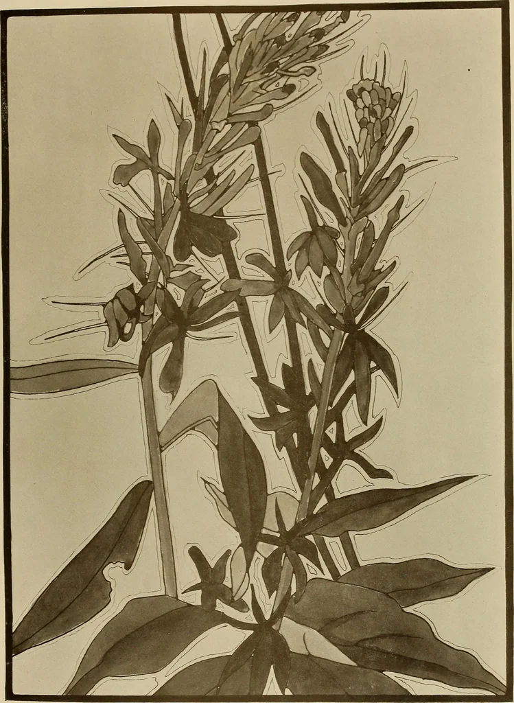 An illustration from Keramic studio, 1899, leaf 26
