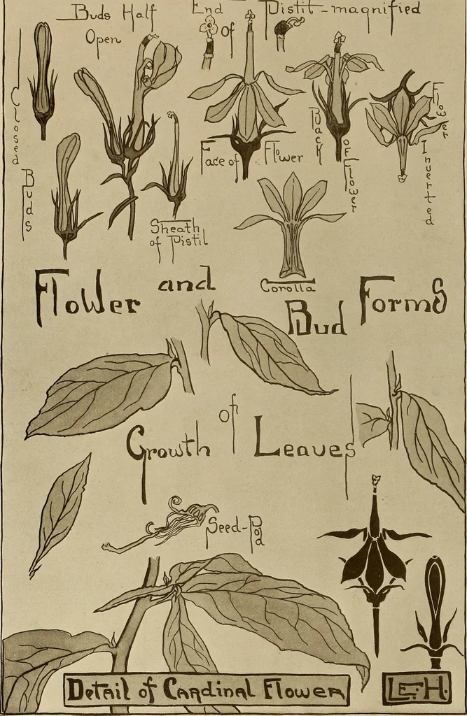 An illustration from Keramic studio, 1899, leaf 27