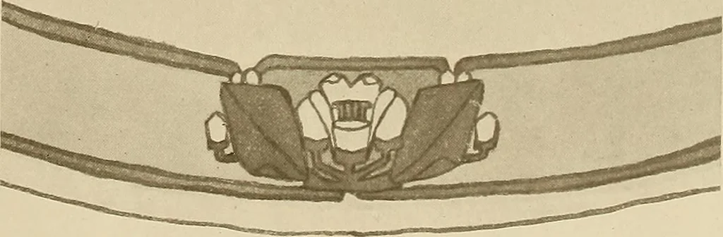 An illustration from Keramic studio, 1899, leaf 294
