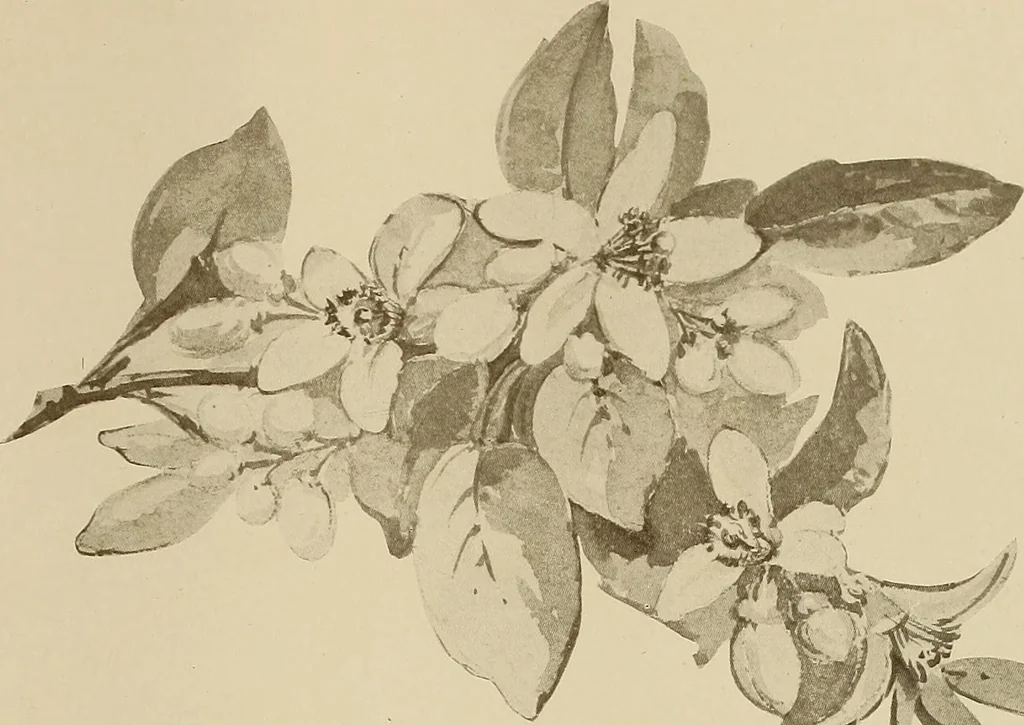 An illustration from Keramic studio, 1899, leaf 300