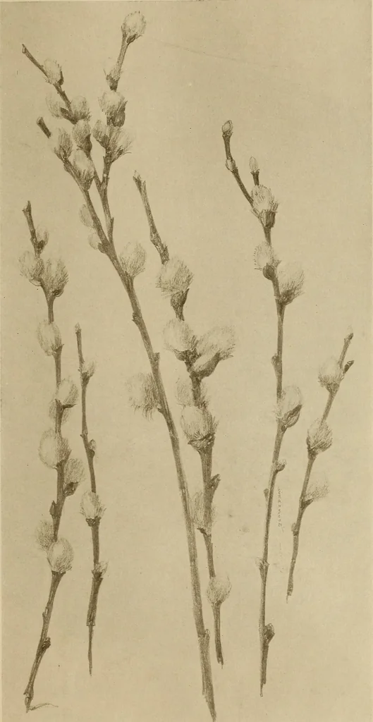 An illustration from Keramic studio, 1899, leaf 308