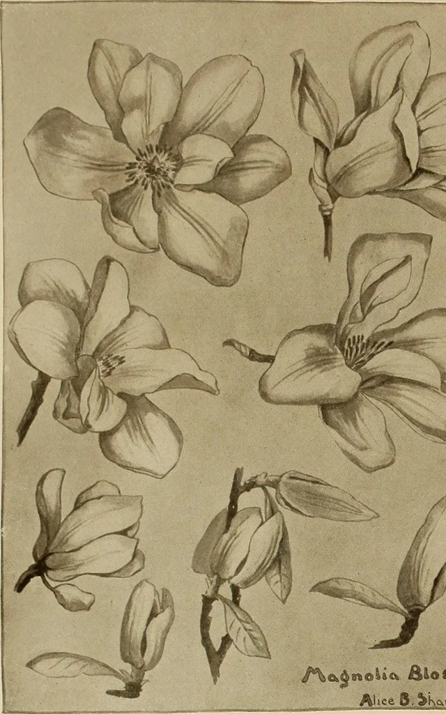 An illustration from Keramic studio, 1899, leaf 31