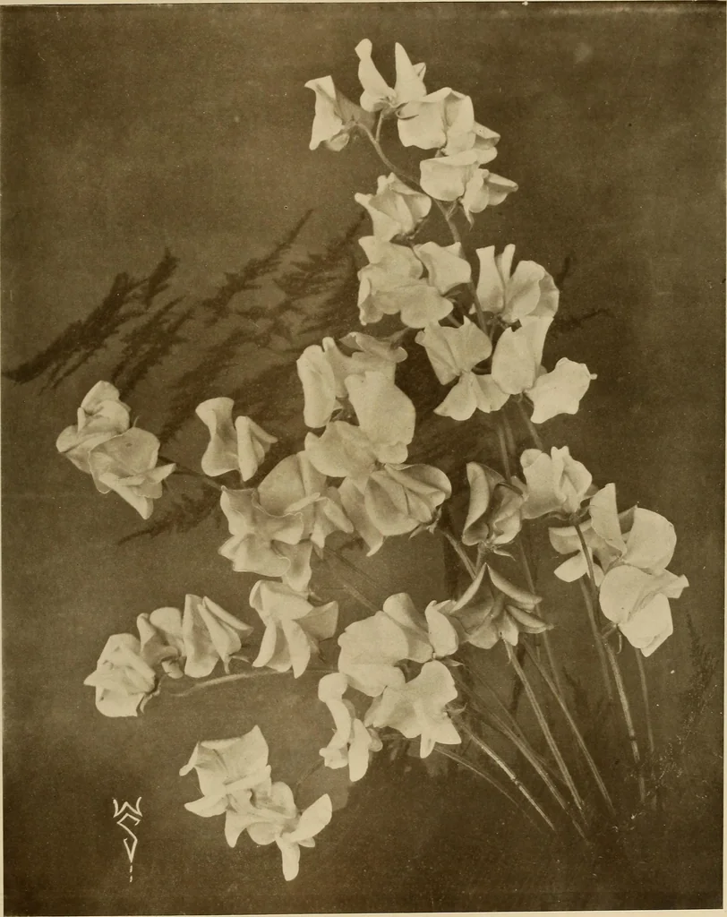 An illustration from Keramic studio, 1899, leaf 316