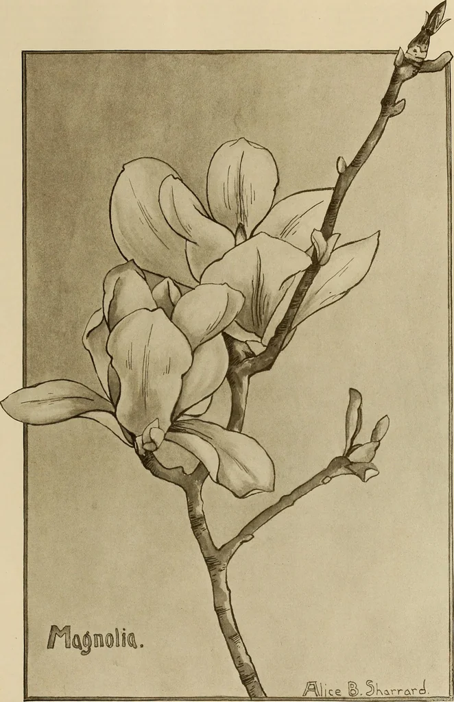 An illustration from Keramic studio, 1899, leaf 32