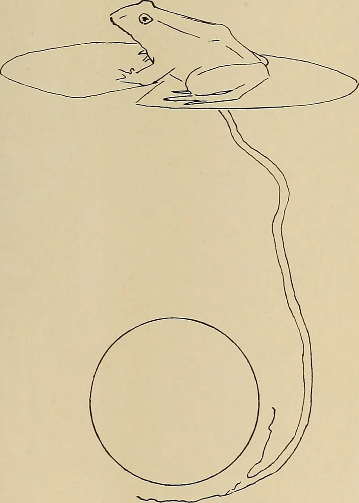 An illustration from Keramic studio, 1899, leaf 322