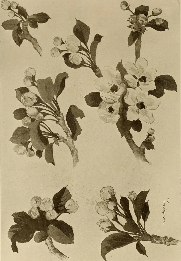 An illustration from Keramic studio, 1899, leaf 341