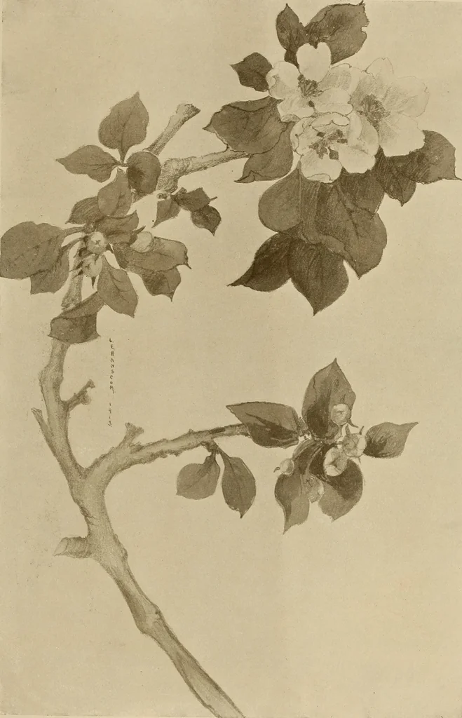 An illustration from Keramic studio, 1899, leaf 342