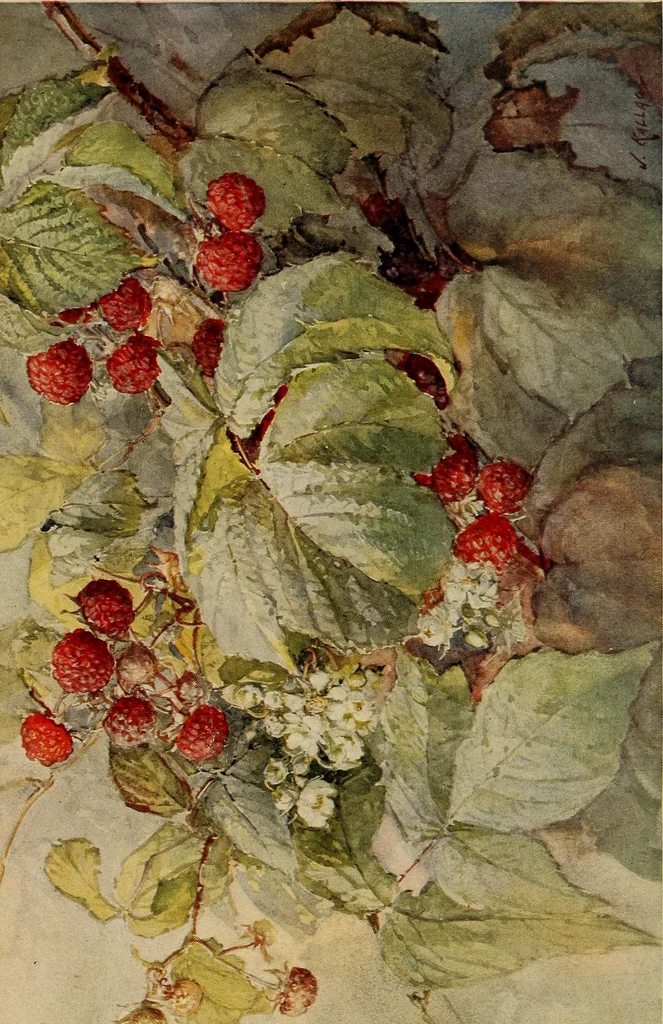 An illustration from Keramic studio, 1899, leaf 353