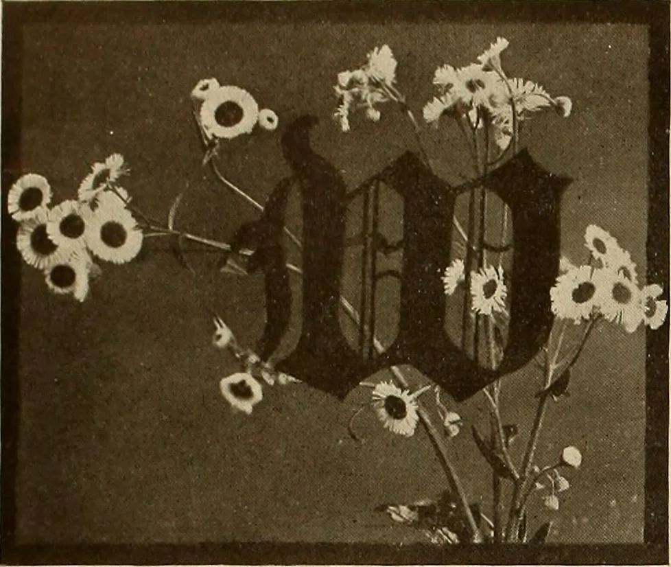 An illustration from Keramic studio, 1899, leaf 359