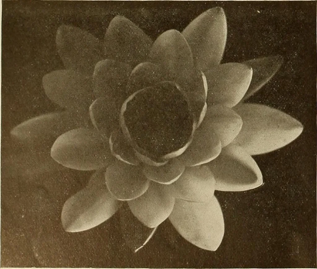 An illustration from Keramic studio, 1899, leaf 359