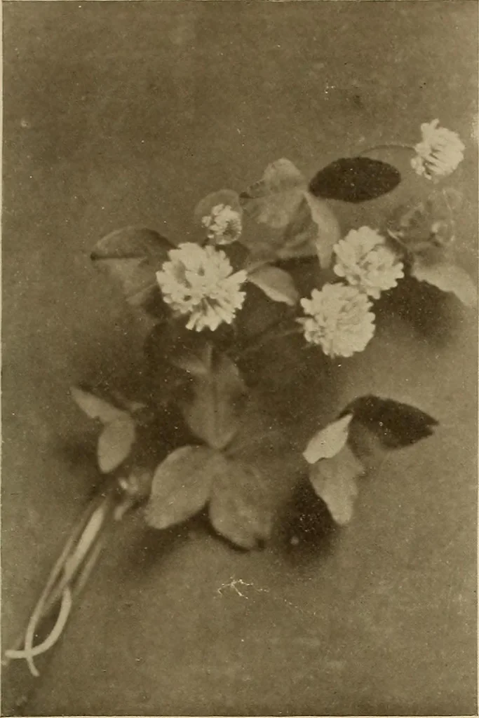 An illustration from Keramic studio, 1899, leaf 360
