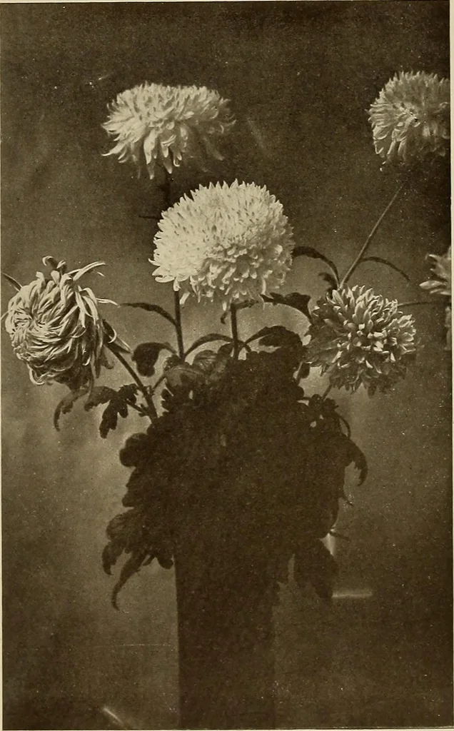 An illustration from Keramic studio, 1899, leaf 360