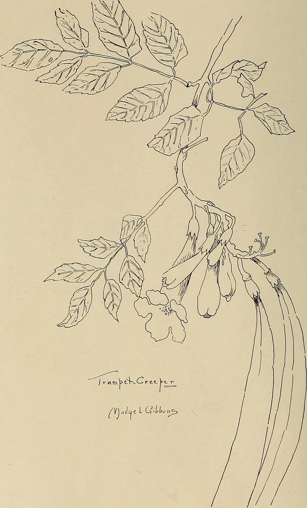 An illustration from Keramic studio, 1899, leaf 371