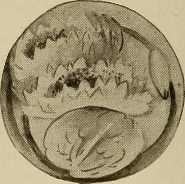 An illustration from Keramic studio, 1899, leaf 377