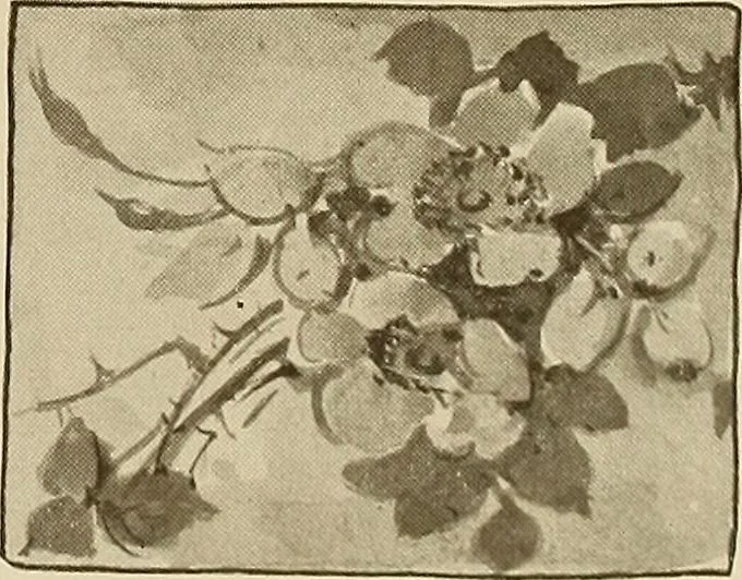 An illustration from Keramic studio, 1899, leaf 378