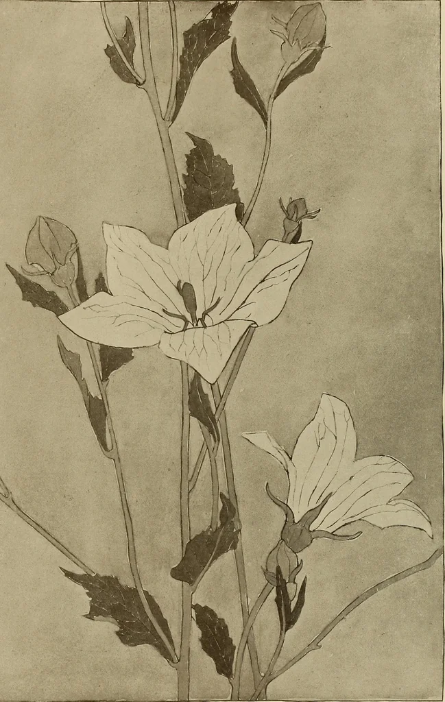An illustration from Keramic studio, 1899, leaf 384