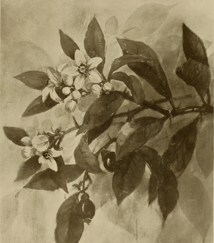 An illustration from Keramic studio, 1899, leaf 386