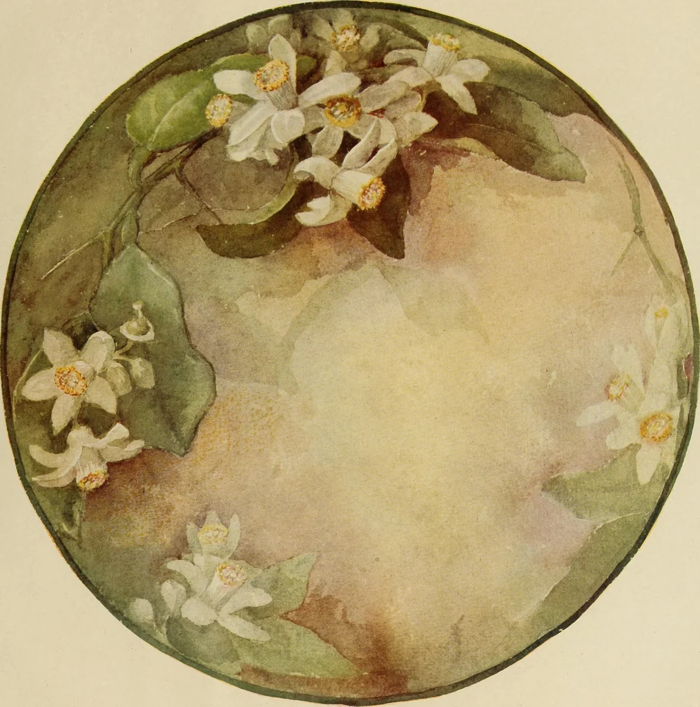 An illustration from Keramic studio, 1899, leaf 388