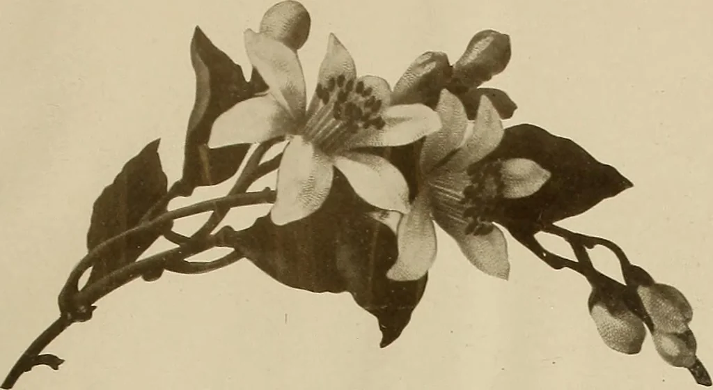 An illustration from Keramic studio, 1899, leaf 394