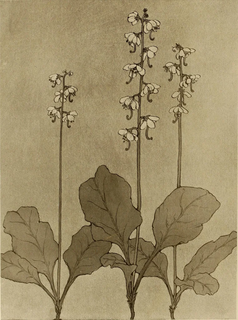 An illustration from Keramic studio, 1899, leaf 59