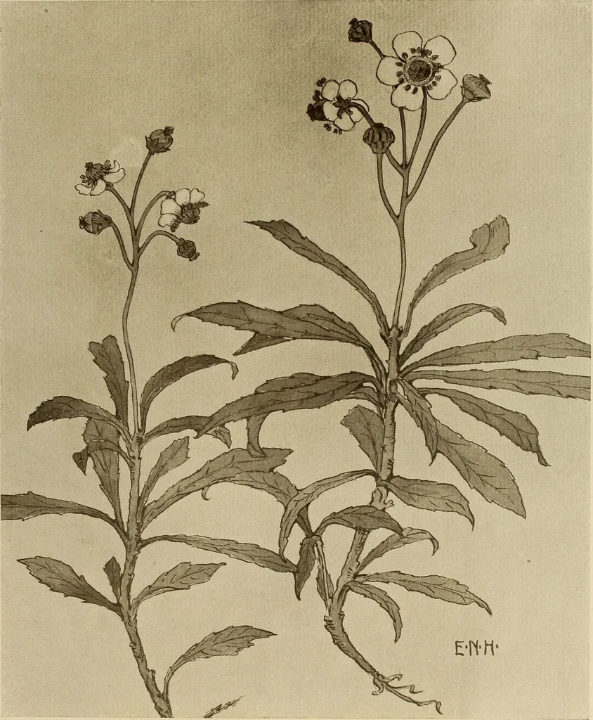 An illustration from Keramic studio, 1899, leaf 66