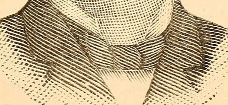An illustration from Key to phrenology, 1890, leaf 140