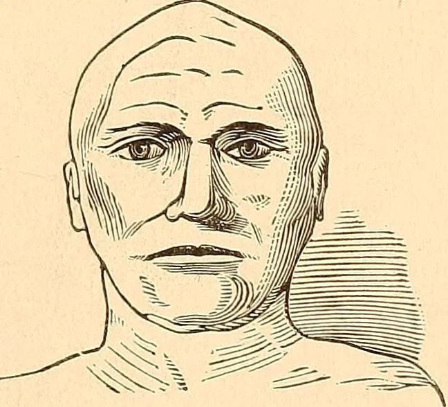 An illustration from Key to phrenology, 1890, leaf 56