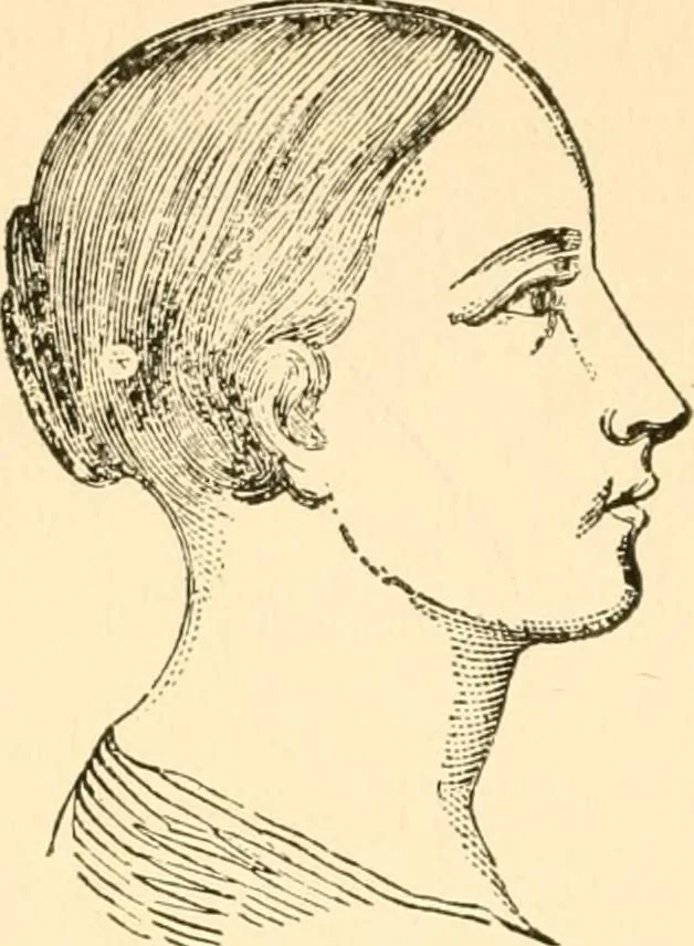 An illustration from Key to phrenology, 1890, leaf 79