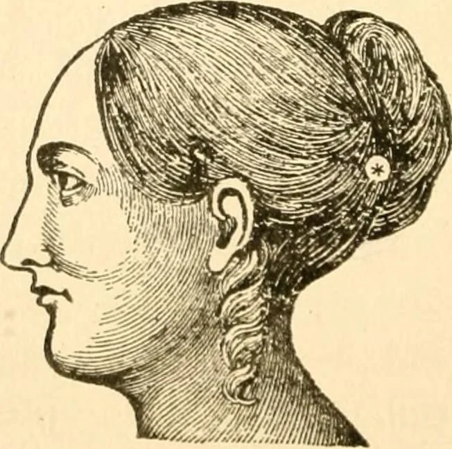 An illustration from Key to phrenology, 1890, leaf 83