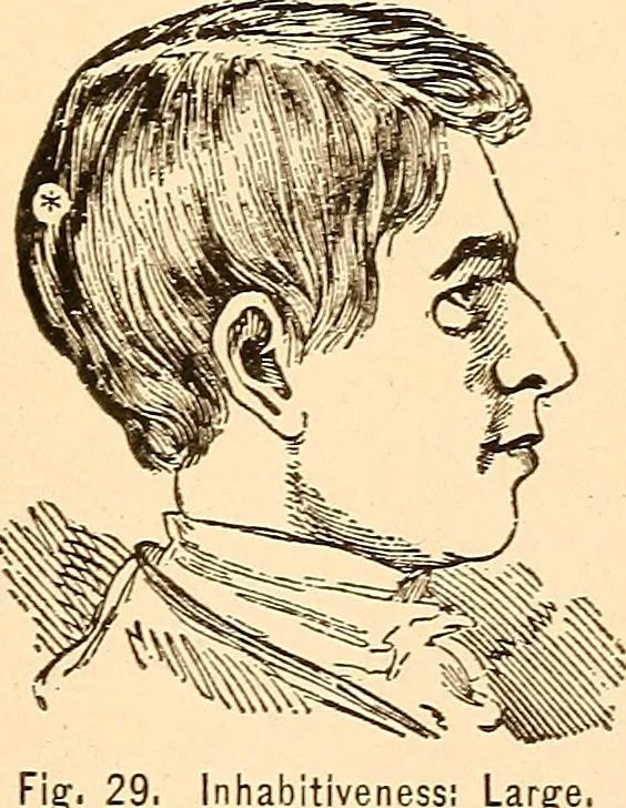 An illustration from Key to phrenology, 1890, leaf 88