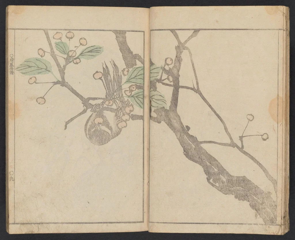An illustration from Kihō gafu : zen, 1827, leaf 11