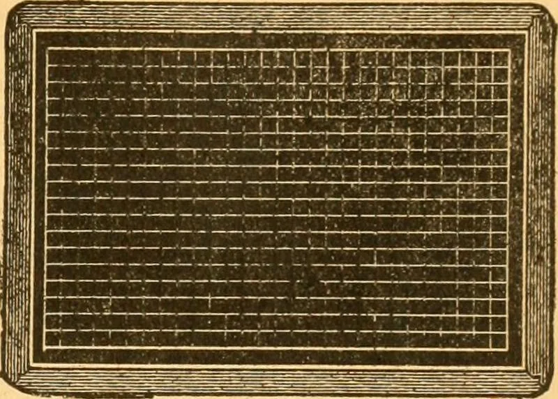 An illustration from The kindergarten;, 1891, leaf 140