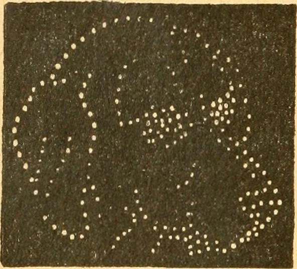 An illustration from The kindergarten;, 1891, leaf 143
