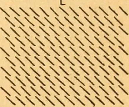An illustration from The kindergarten;, 1891, leaf 144