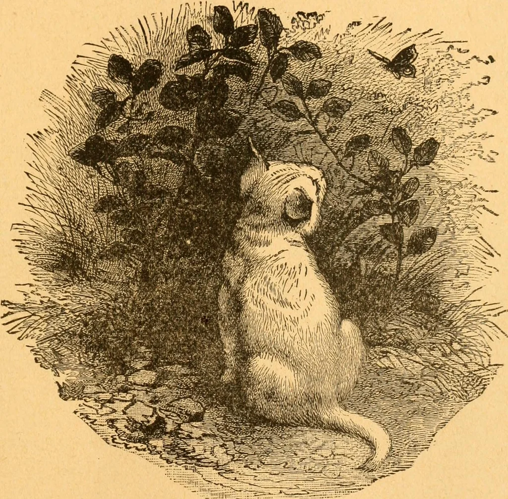 An illustration from The kindergarten;, 1891, leaf 246