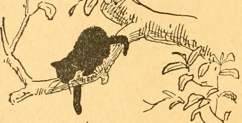 An illustration from The kindergarten;, 1891, leaf 269