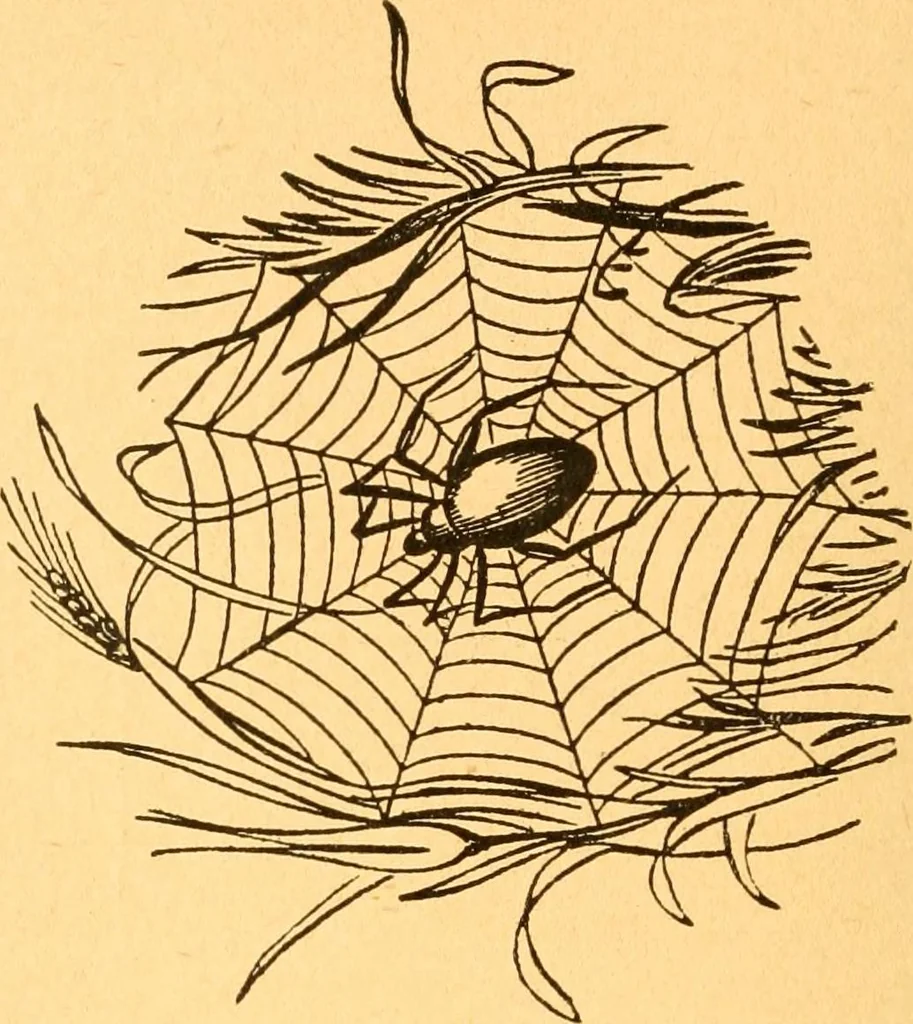 An illustration from The kindergarten;, 1891, leaf 293